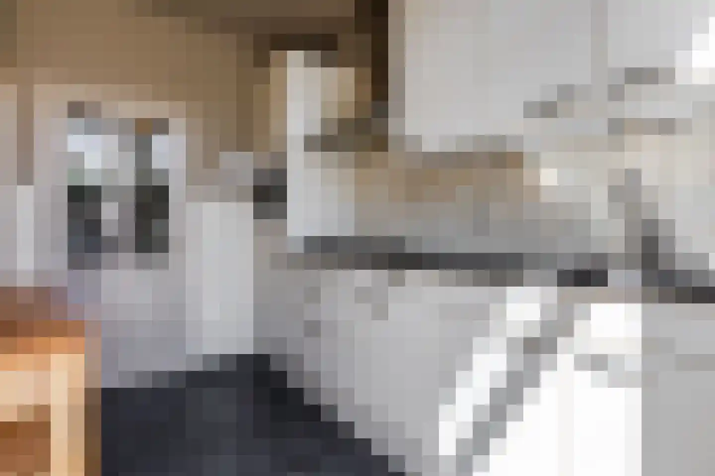 Predikherenlaan 10 Tilburg thumbnail 8
