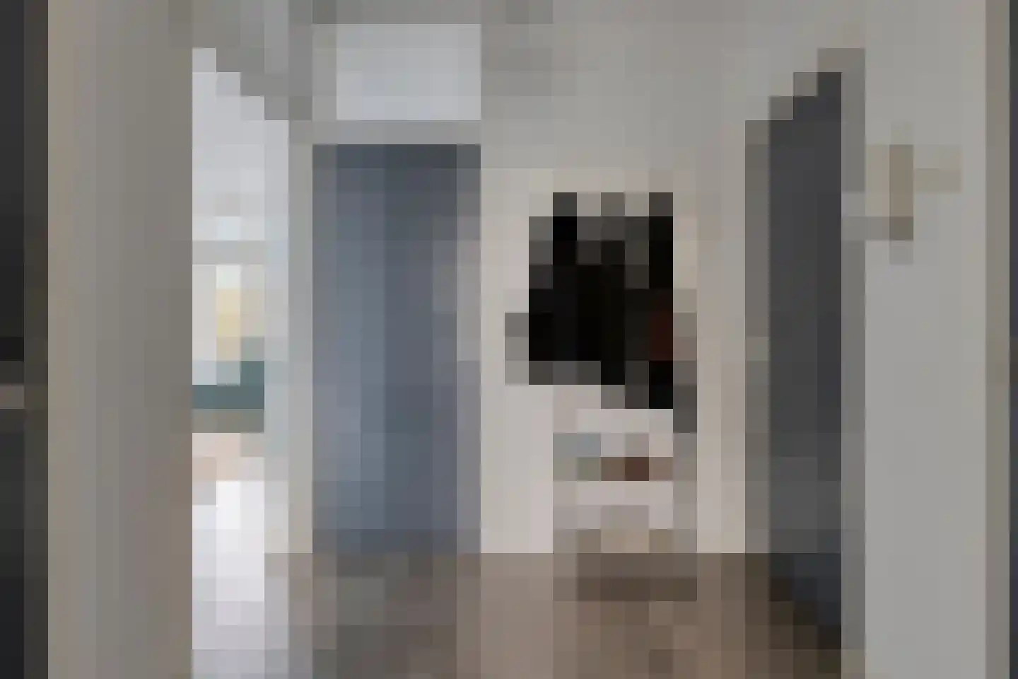 Predikherenlaan 119 Tilburg thumbnail 11