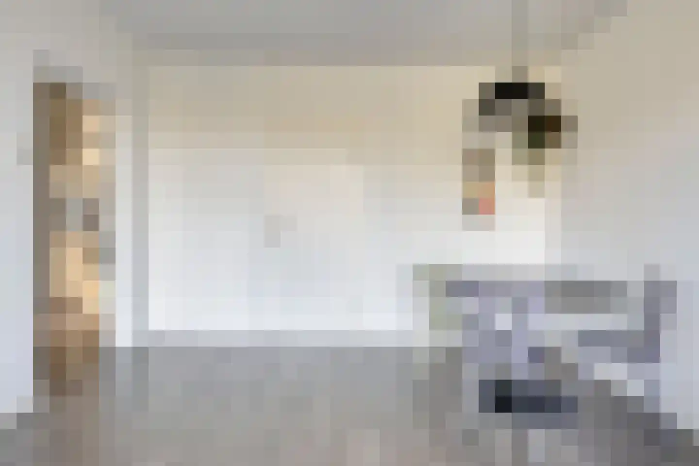 Predikherenlaan 119 Tilburg thumbnail 15