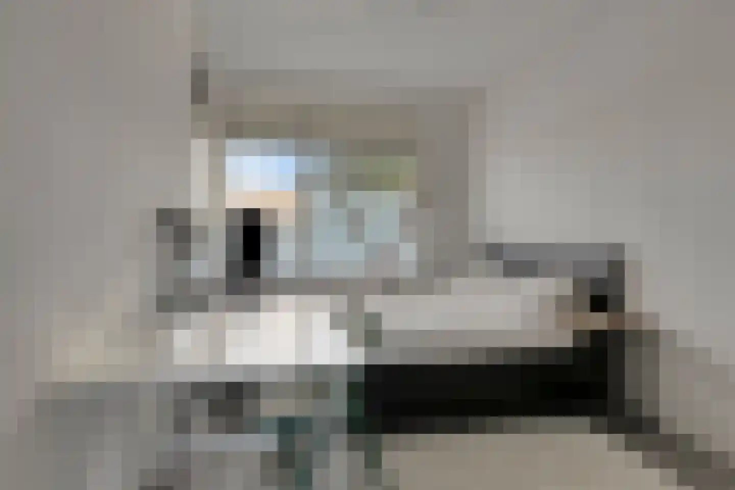 Predikherenlaan 119 Tilburg thumbnail 17