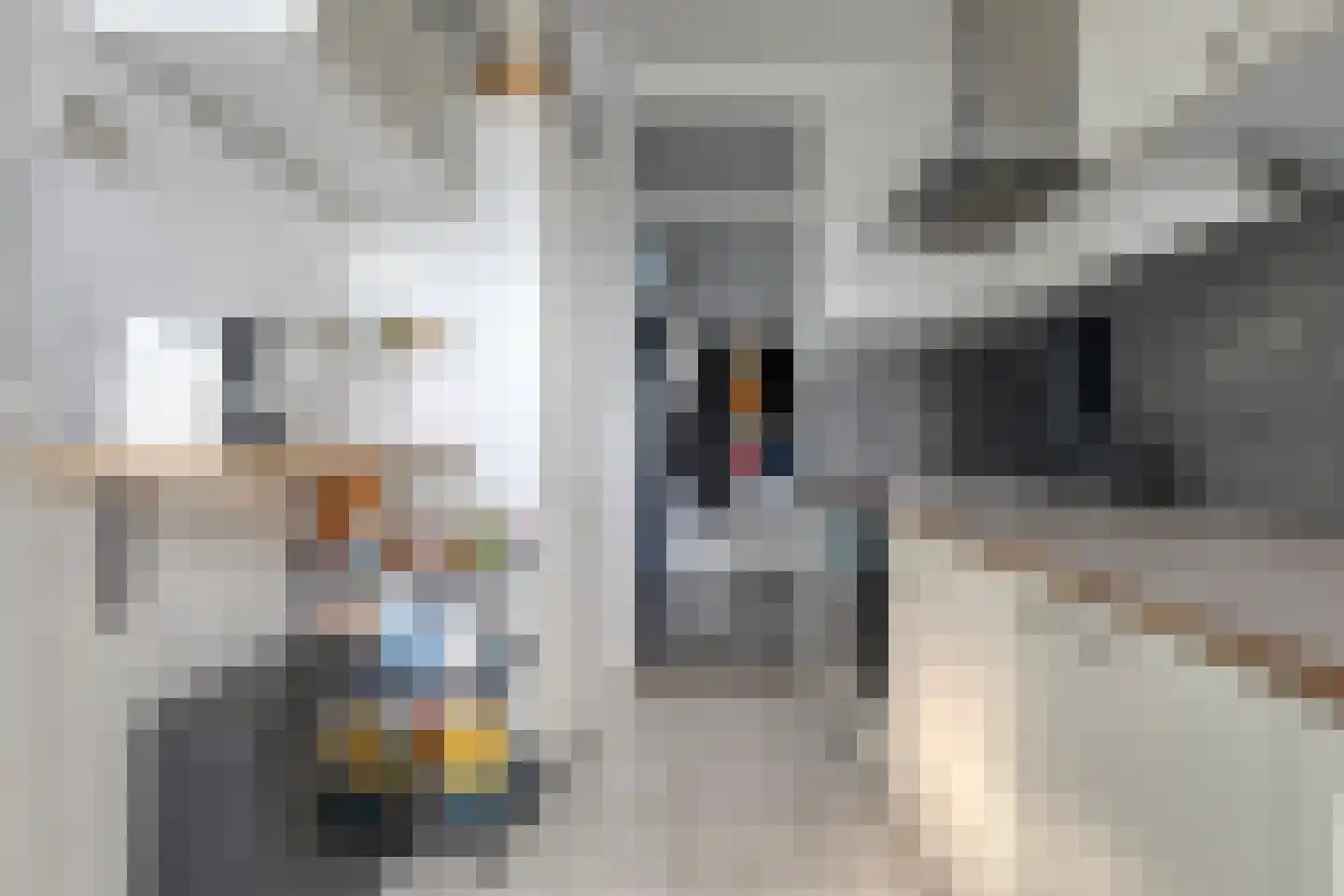 Predikherenlaan 119 Tilburg thumbnail 4