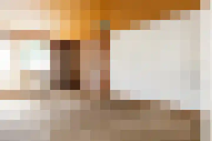 Predikherenlaan 12 Tilburg thumbnail 12