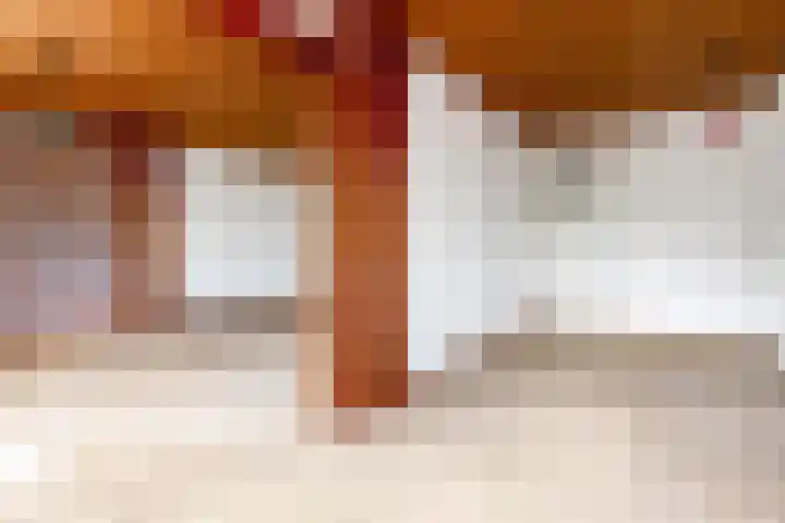 Predikherenlaan 12 Tilburg thumbnail 13