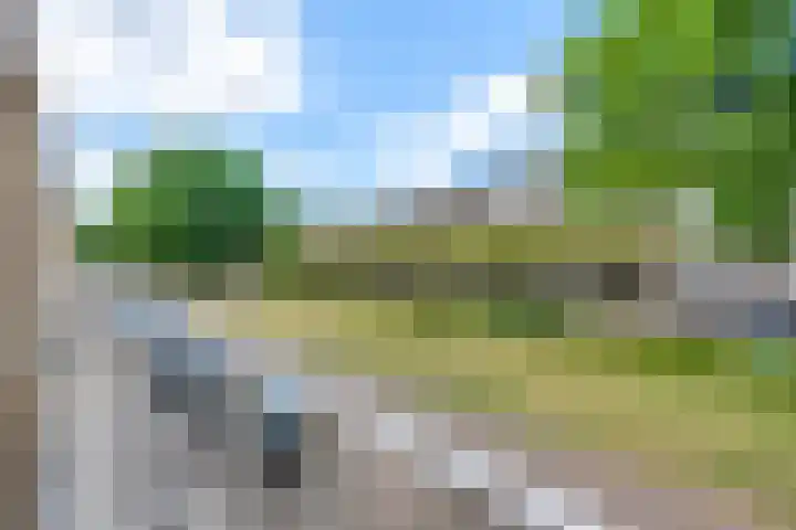 Predikherenlaan 12 Tilburg thumbnail 21
