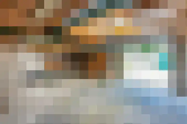 Predikherenlaan 12 Tilburg thumbnail 27