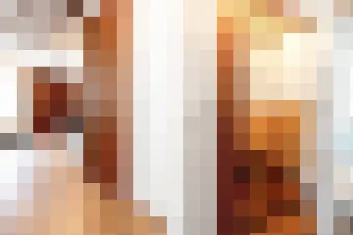 Predikherenlaan 12 Tilburg thumbnail 4
