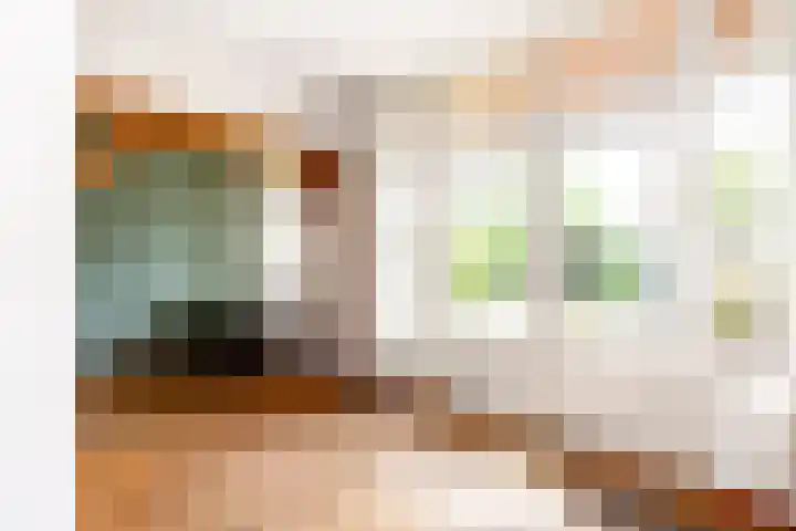 Predikherenlaan 12 Tilburg thumbnail 6