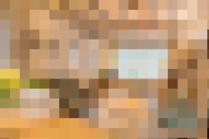 Predikherenlaan 122 Tilburg thumbnail 14