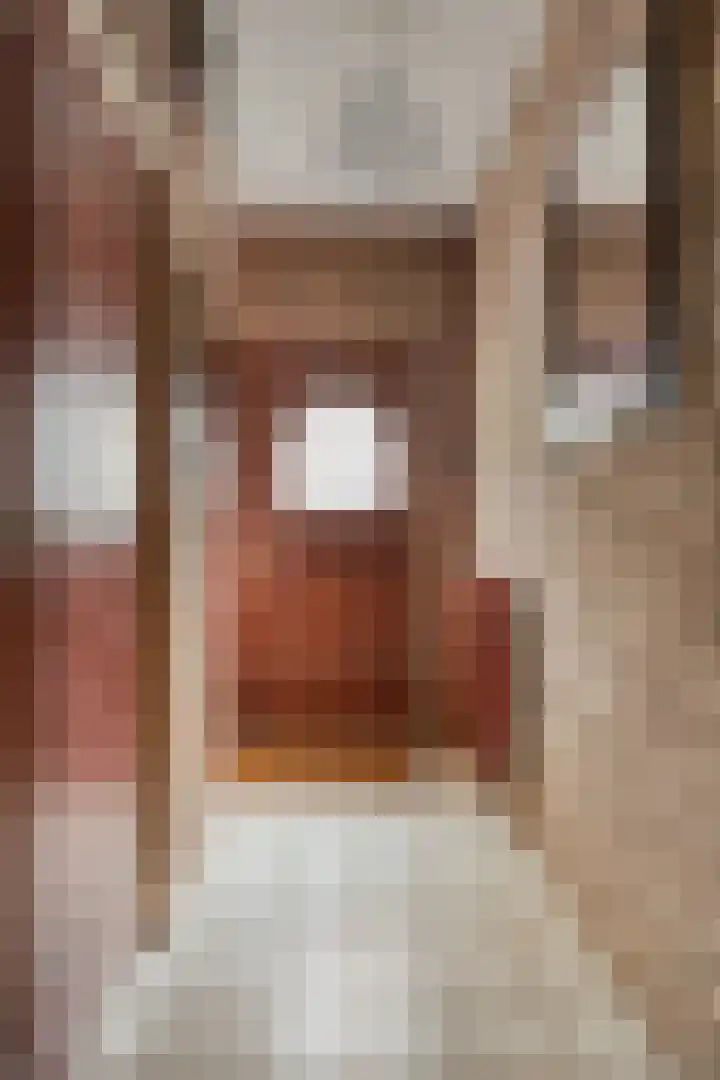 Predikherenlaan 122 Tilburg thumbnail 18