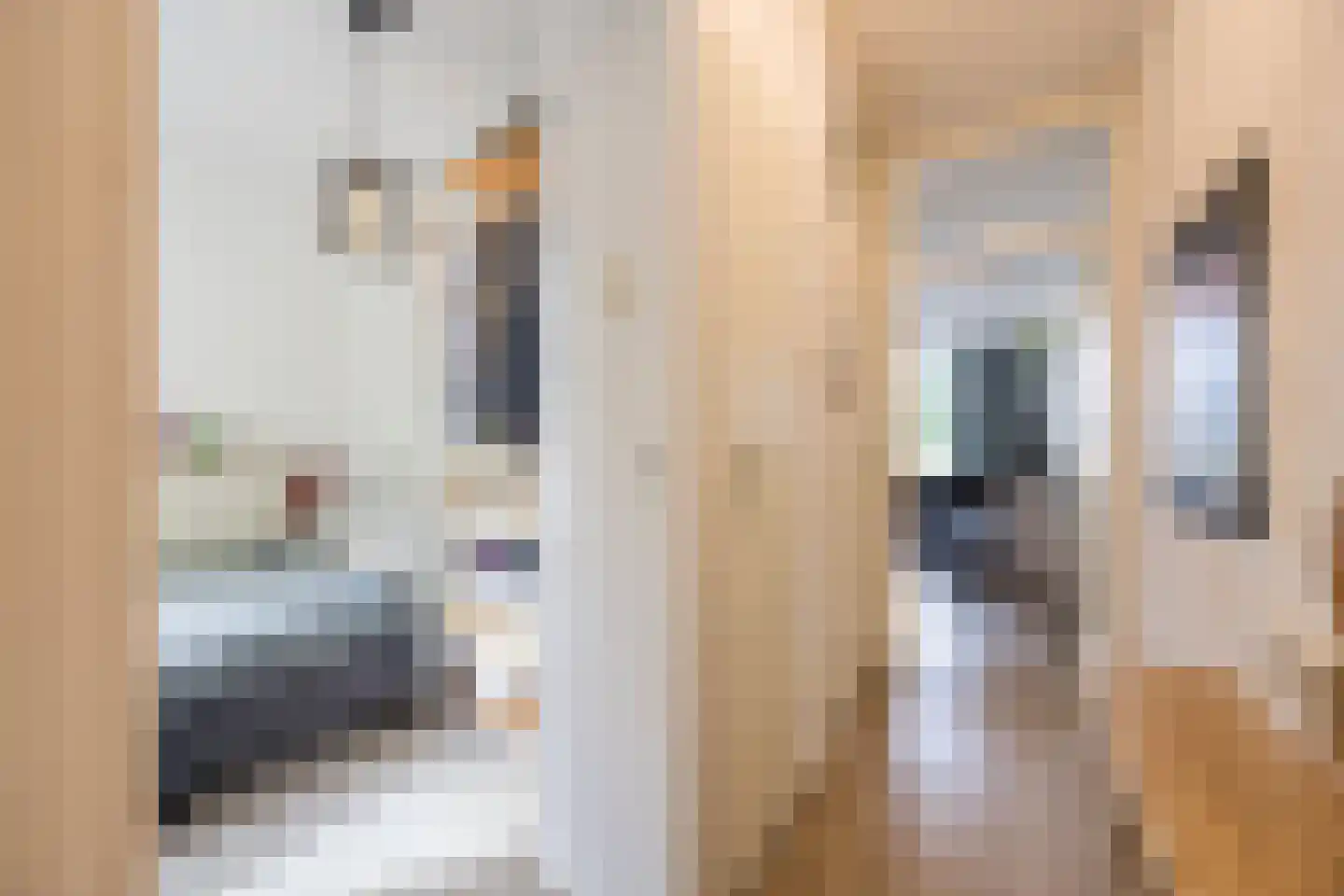 Predikherenlaan 15 Tilburg thumbnail 11