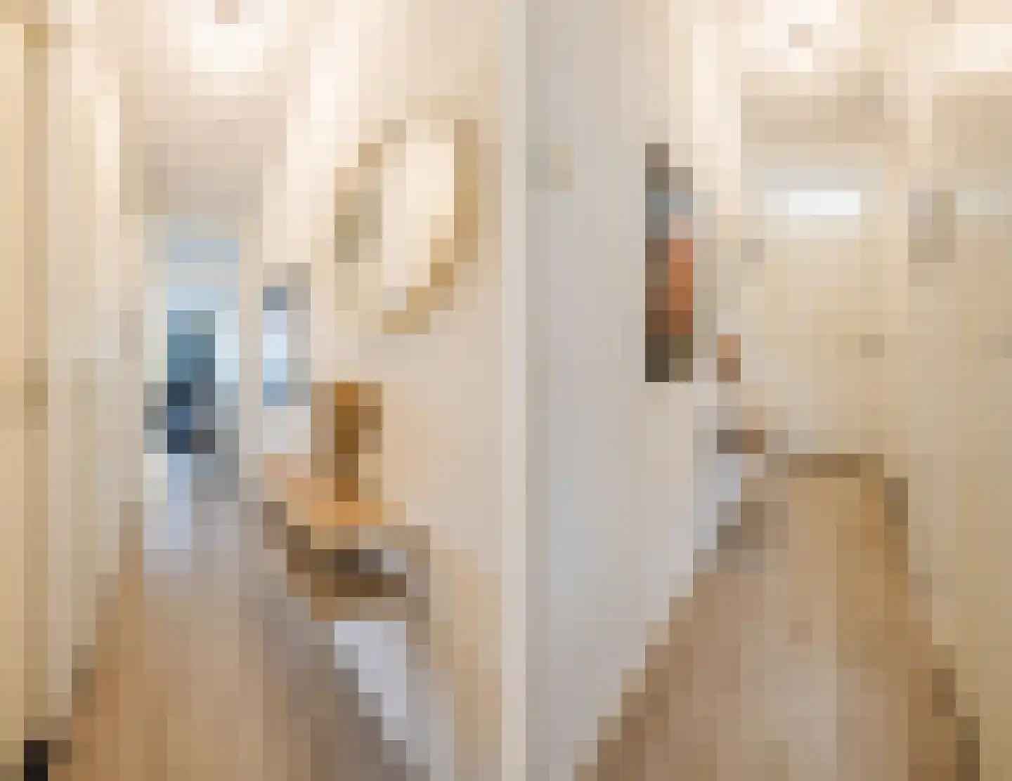 Predikherenlaan 15 Tilburg thumbnail 13