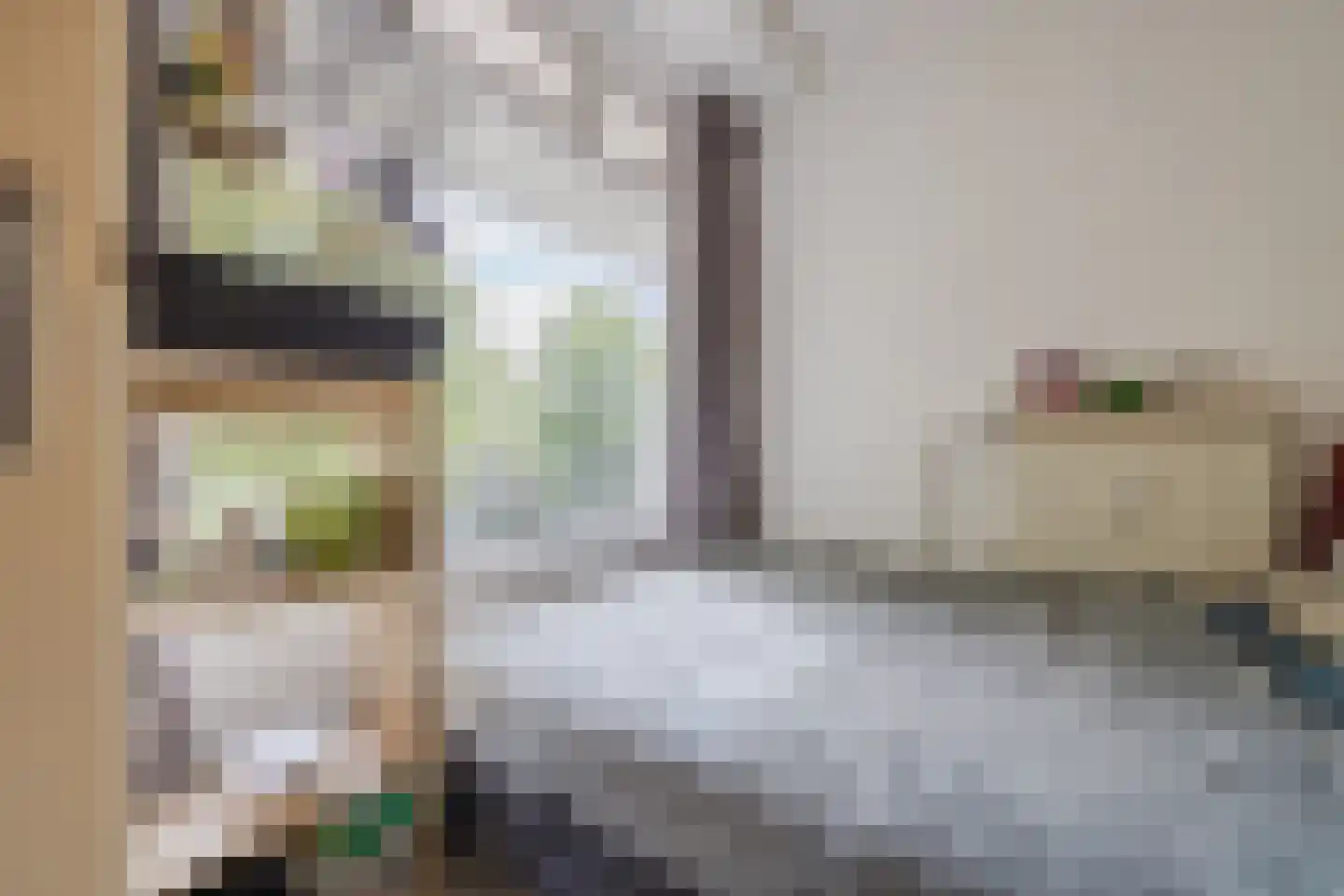 Predikherenlaan 15 Tilburg thumbnail 14