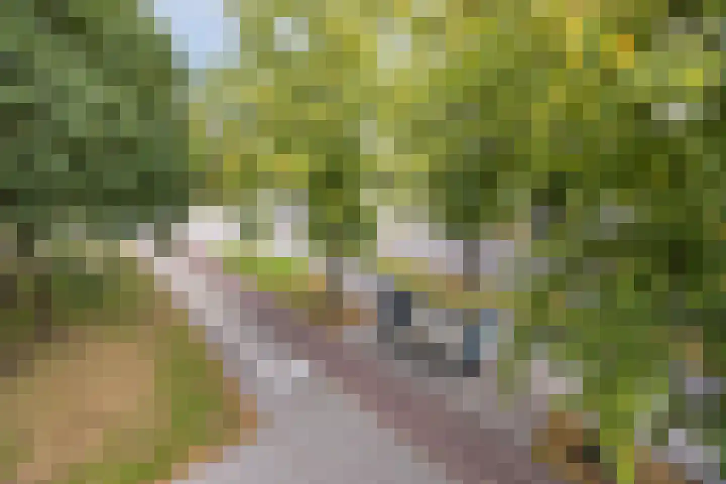 Predikherenlaan 15 Tilburg thumbnail 18
