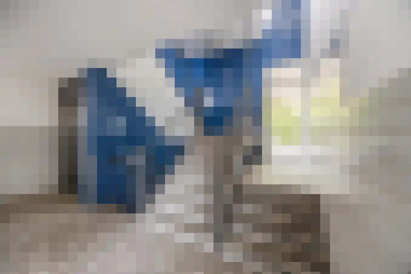 Predikherenlaan 15 Tilburg thumbnail 19