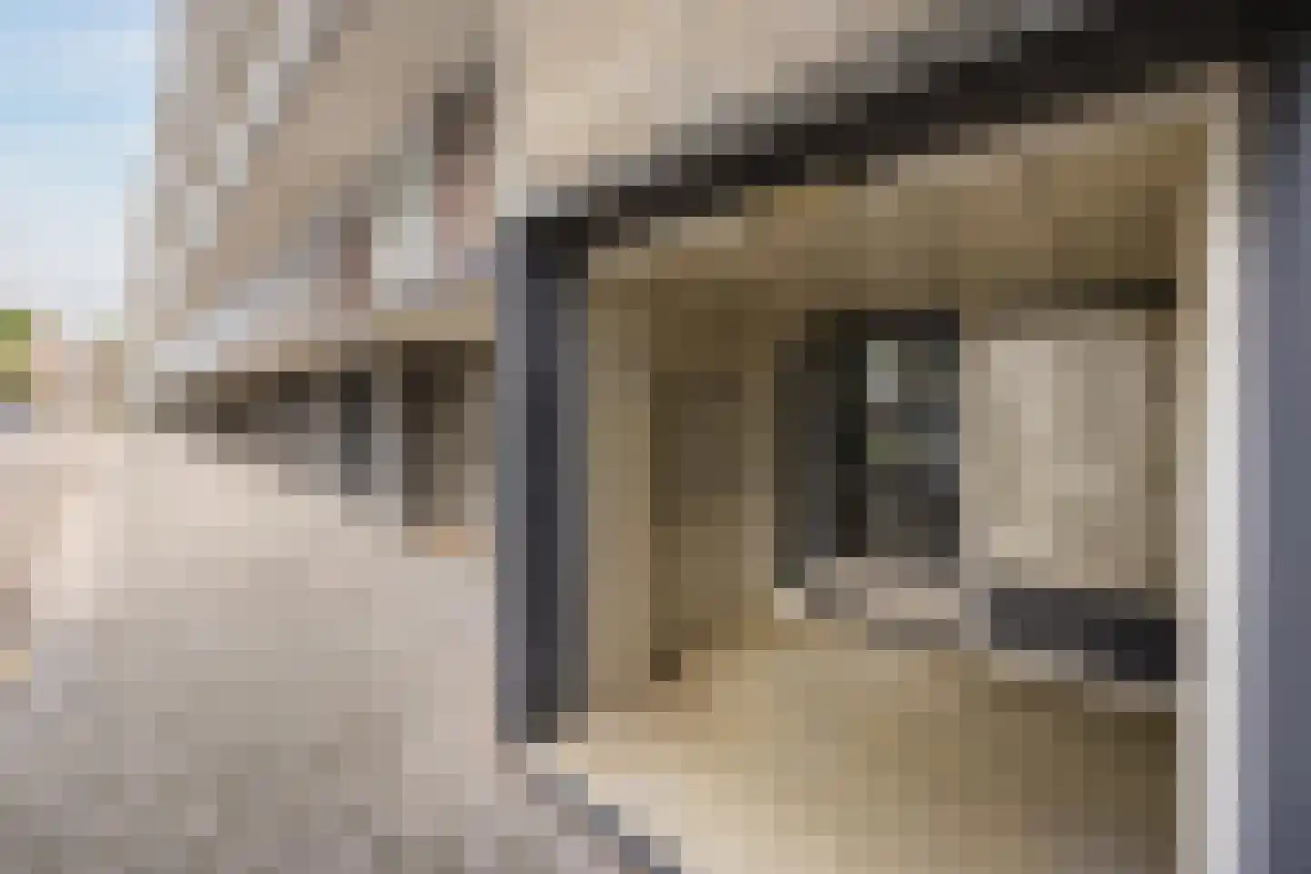 Predikherenlaan 15 Tilburg thumbnail 21