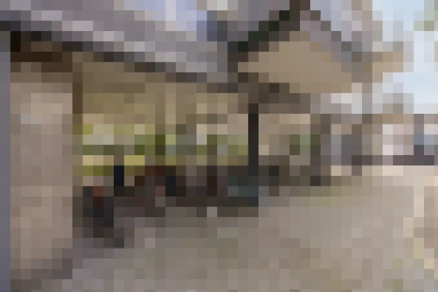 Predikherenlaan 15 Tilburg thumbnail 22