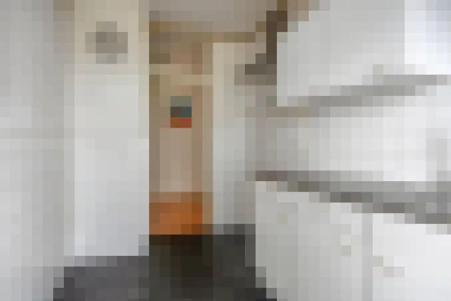 Predikherenlaan 19 Tilburg thumbnail 17