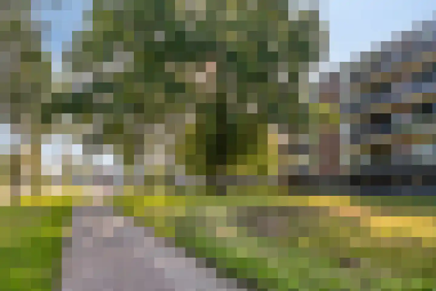 Predikherenlaan 19 Tilburg thumbnail 27