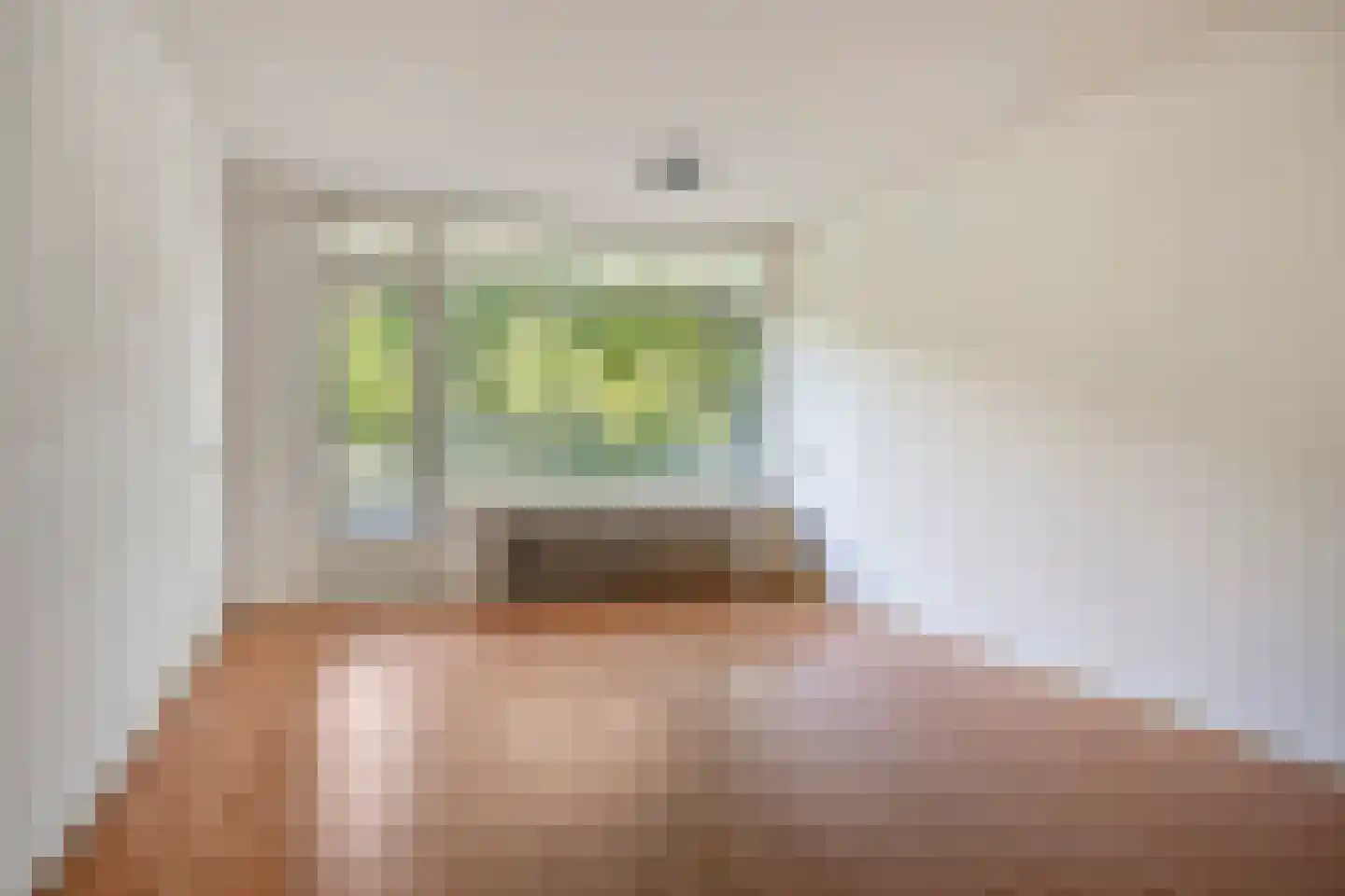 Predikherenlaan 19 Tilburg thumbnail 6