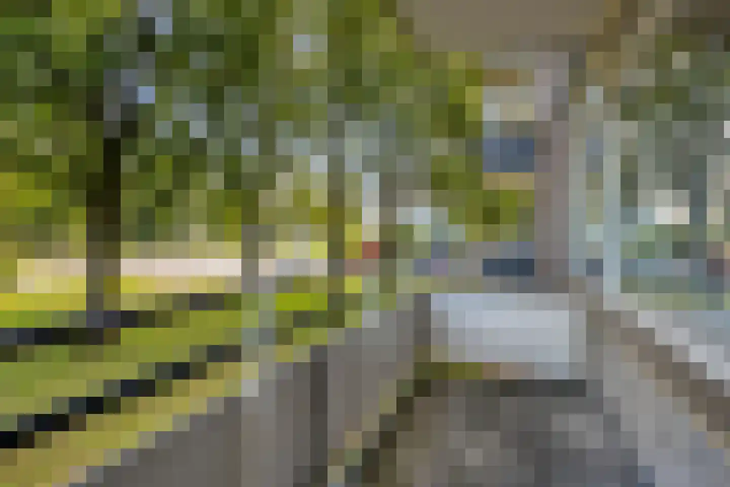 Predikherenlaan 19 Tilburg thumbnail 7