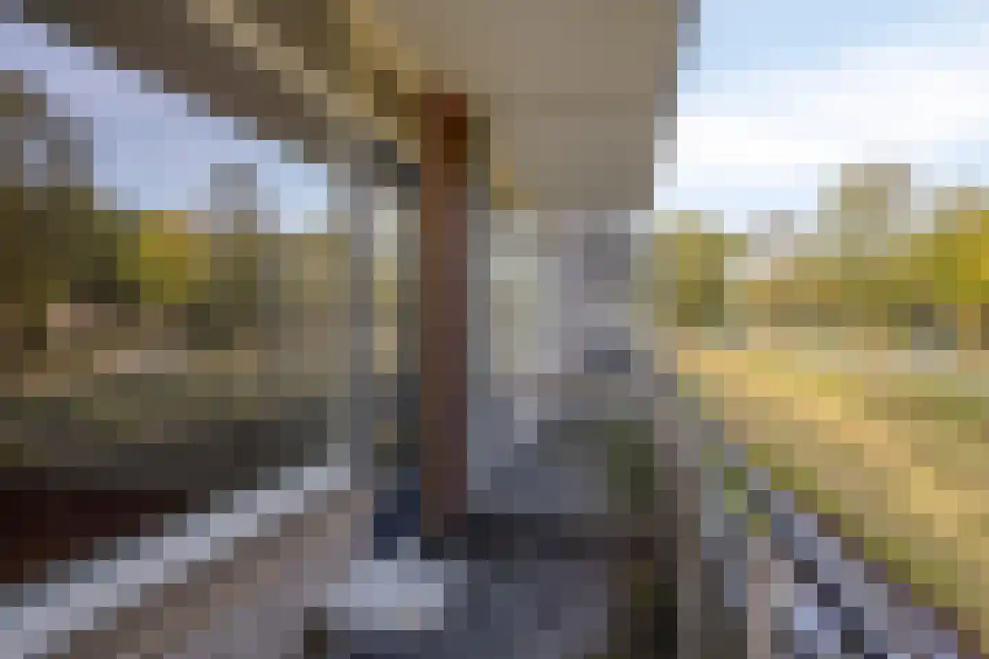 Predikherenlaan 19 Tilburg thumbnail 8