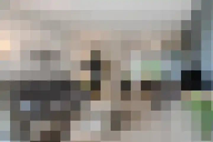 Predikherenlaan 243 Tilburg thumbnail 10