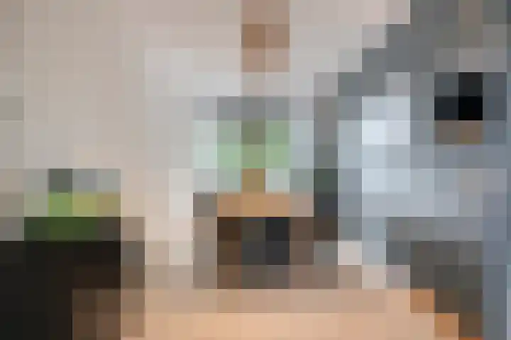 Predikherenlaan 243 Tilburg thumbnail 13