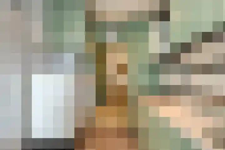 Predikherenlaan 243 Tilburg thumbnail 15
