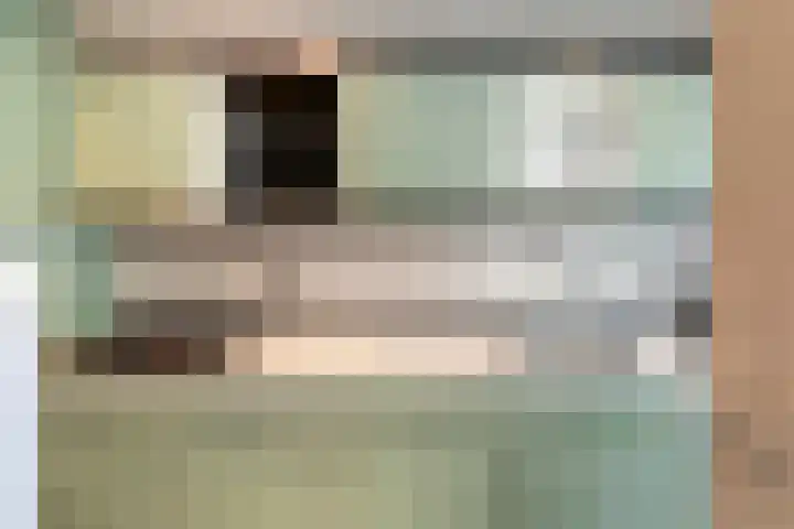 Predikherenlaan 243 Tilburg thumbnail 16