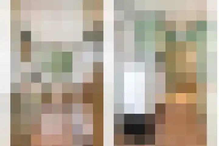 Predikherenlaan 243 Tilburg thumbnail 17