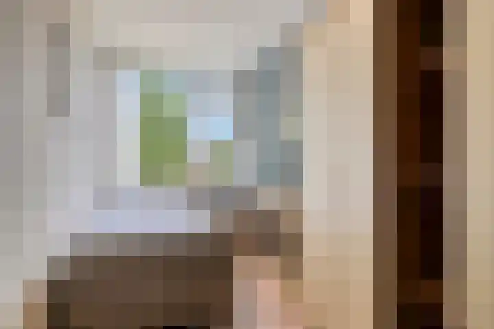 Predikherenlaan 243 Tilburg thumbnail 21