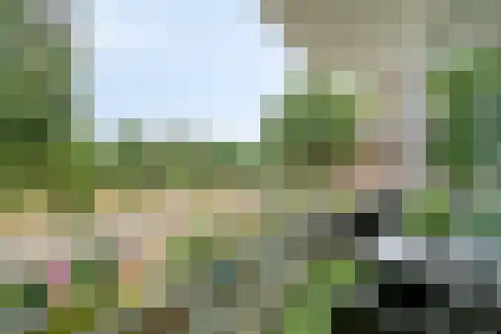 Predikherenlaan 243 Tilburg thumbnail 23