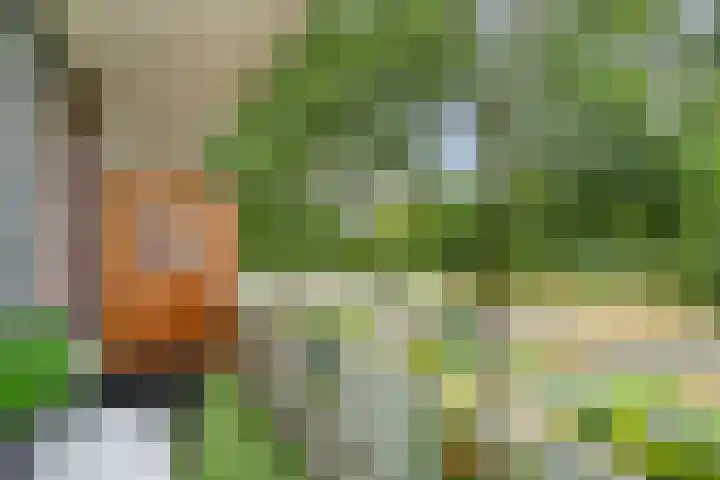 Predikherenlaan 243 Tilburg thumbnail 24