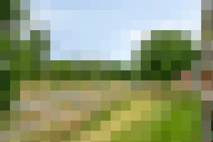 Predikherenlaan 243 Tilburg thumbnail 25