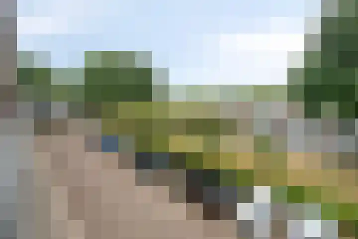 Predikherenlaan 243 Tilburg thumbnail 26