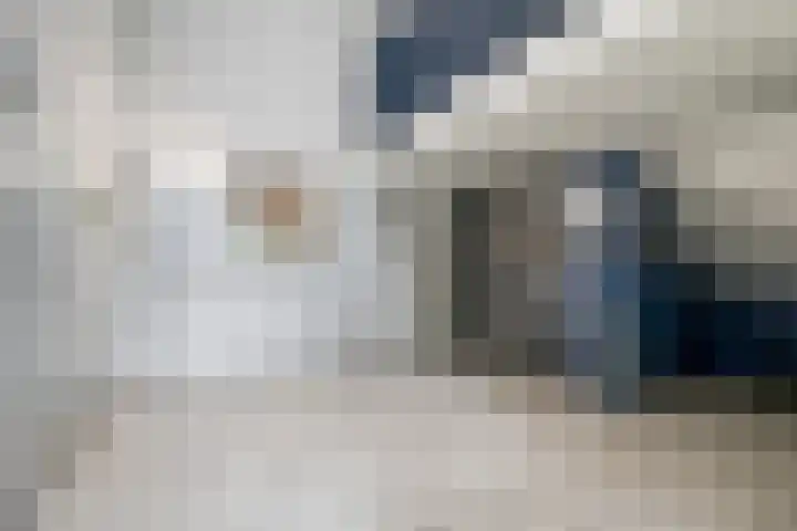 Predikherenlaan 243 Tilburg thumbnail 28