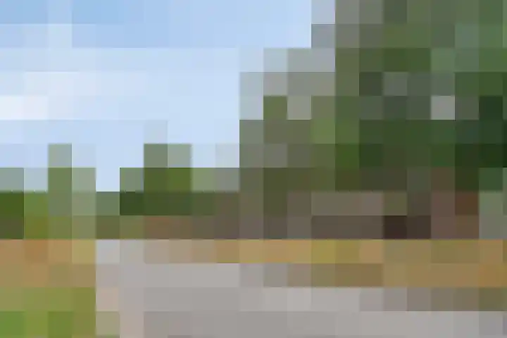 Predikherenlaan 243 Tilburg thumbnail 30
