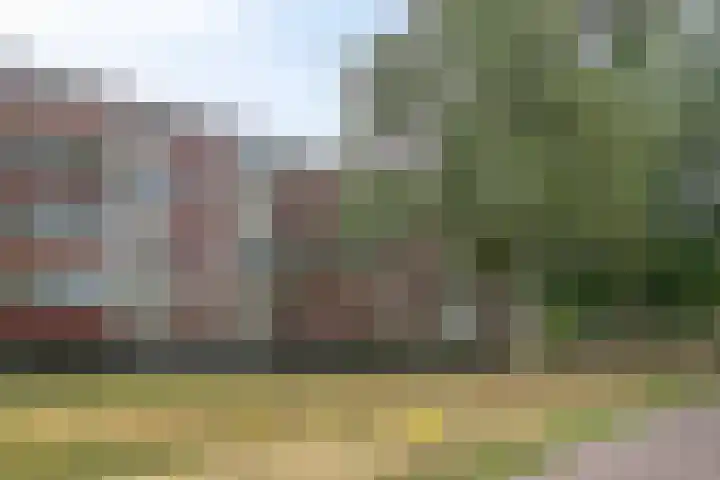 Predikherenlaan 243 Tilburg thumbnail 31