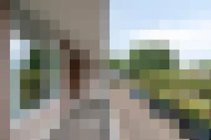 Predikherenlaan 243 Tilburg thumbnail 4