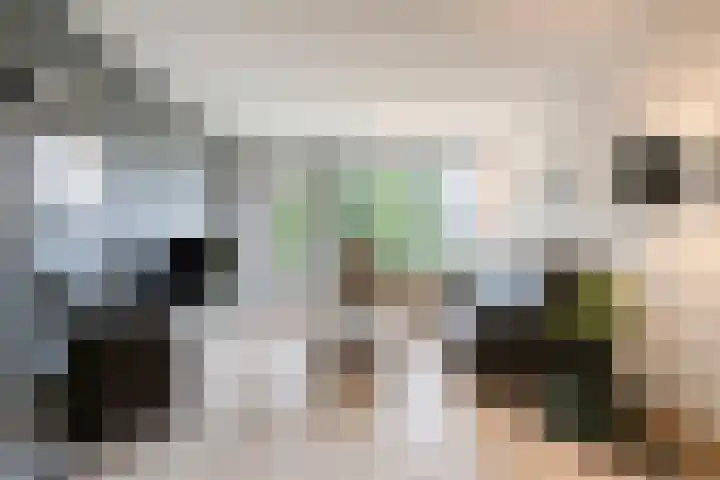 Predikherenlaan 243 Tilburg thumbnail 8