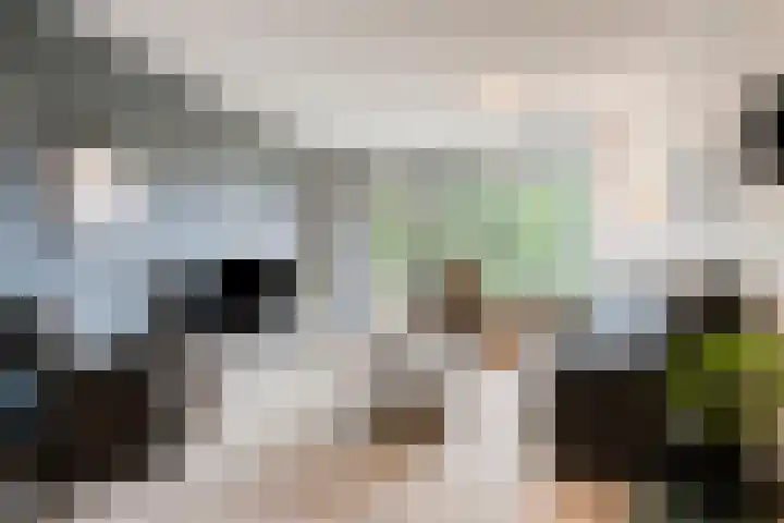 Predikherenlaan 243 Tilburg thumbnail 9