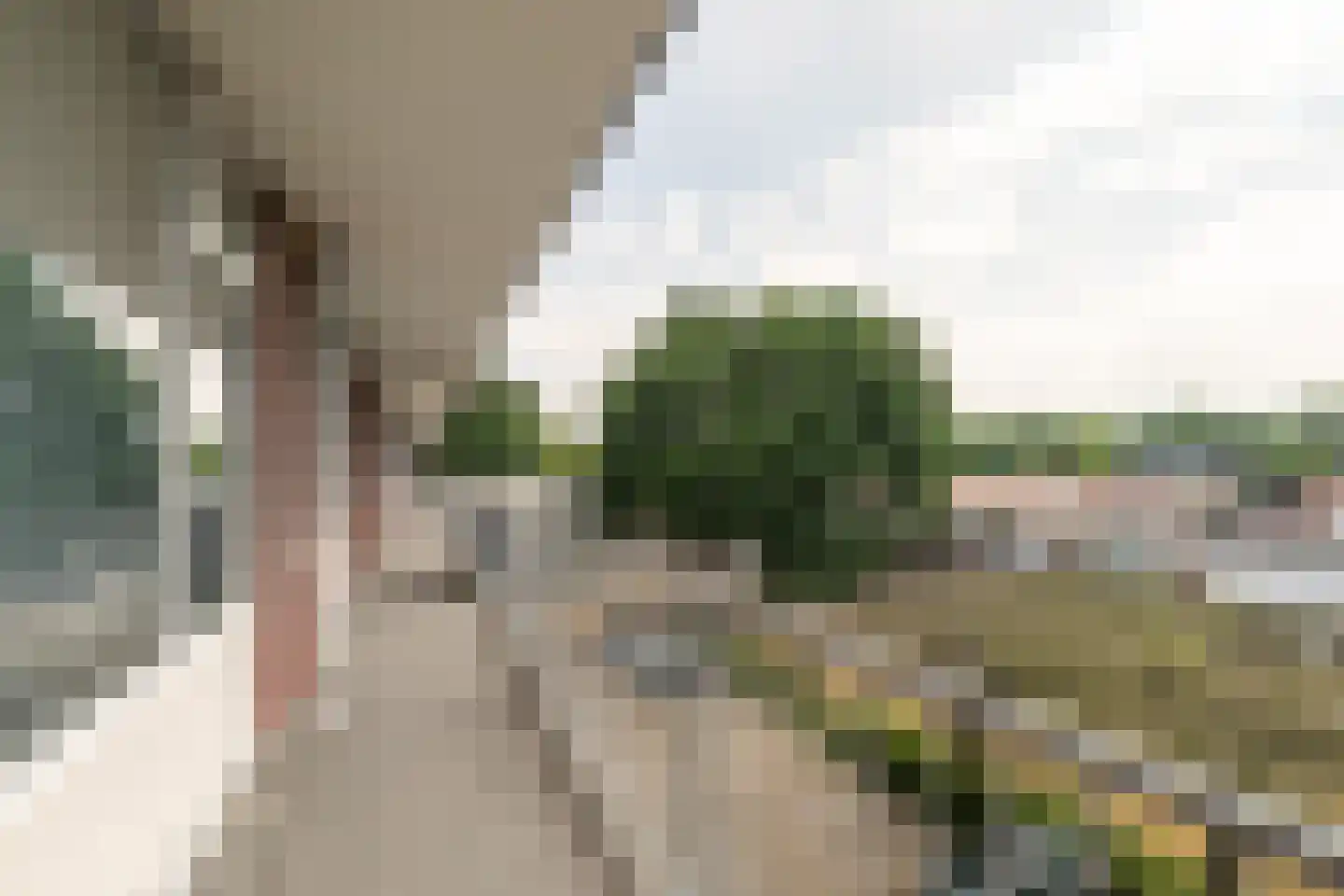 Predikherenlaan 259 Tilburg thumbnail 10