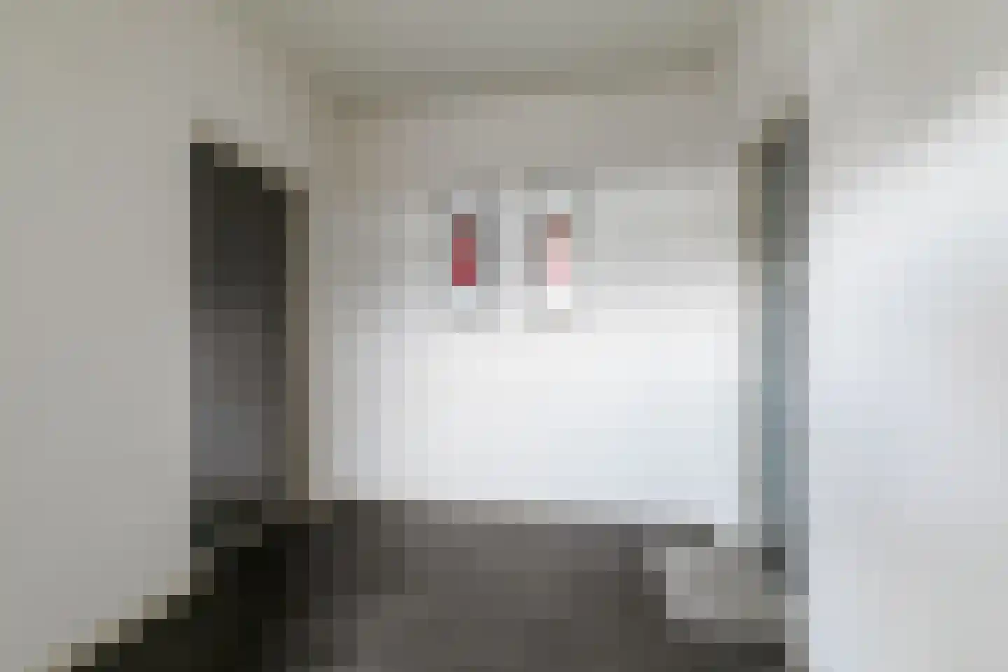 Predikherenlaan 259 Tilburg thumbnail 11