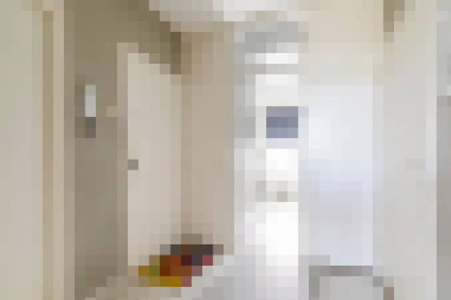 Predikherenlaan 259 Tilburg thumbnail 13