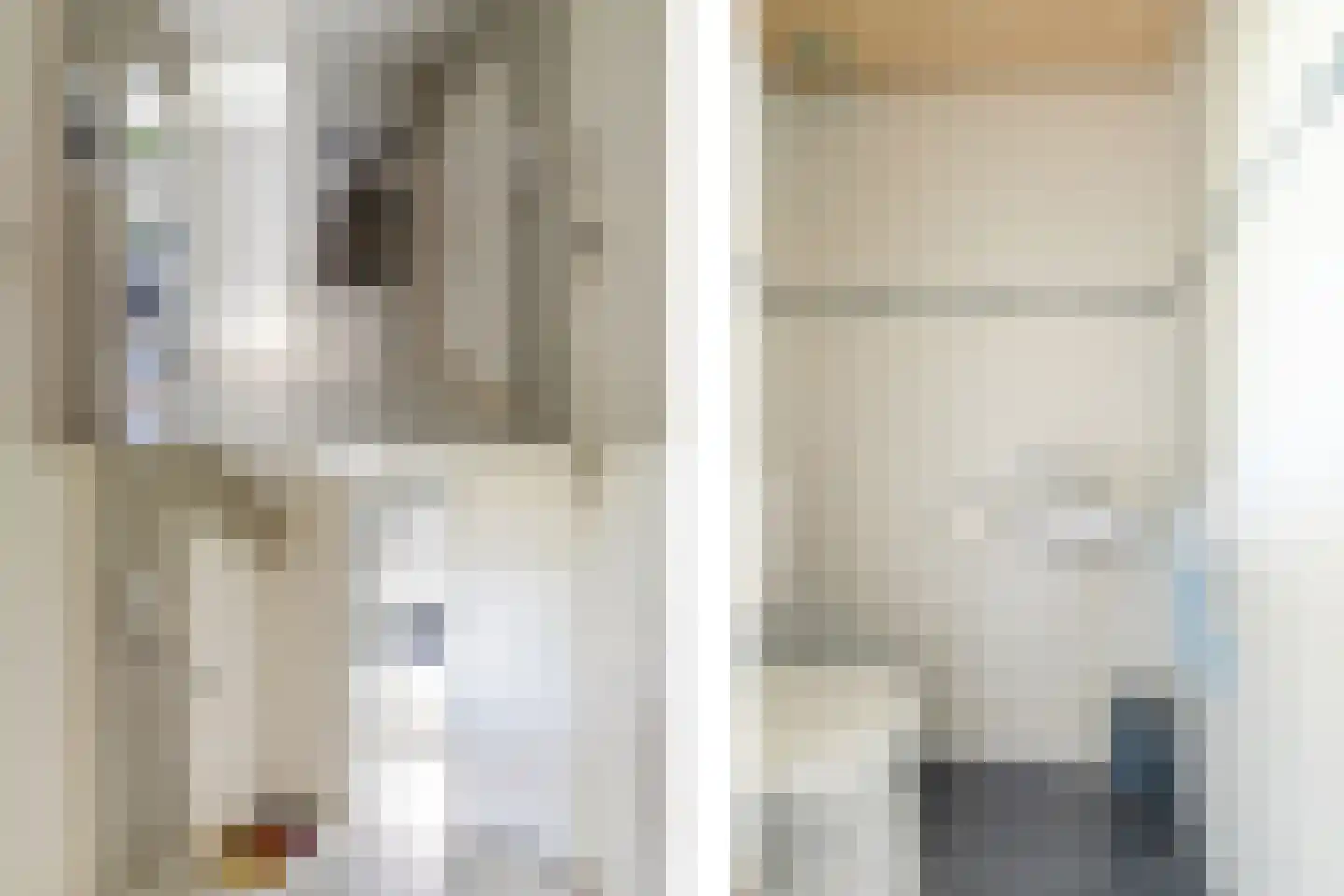 Predikherenlaan 259 Tilburg thumbnail 18