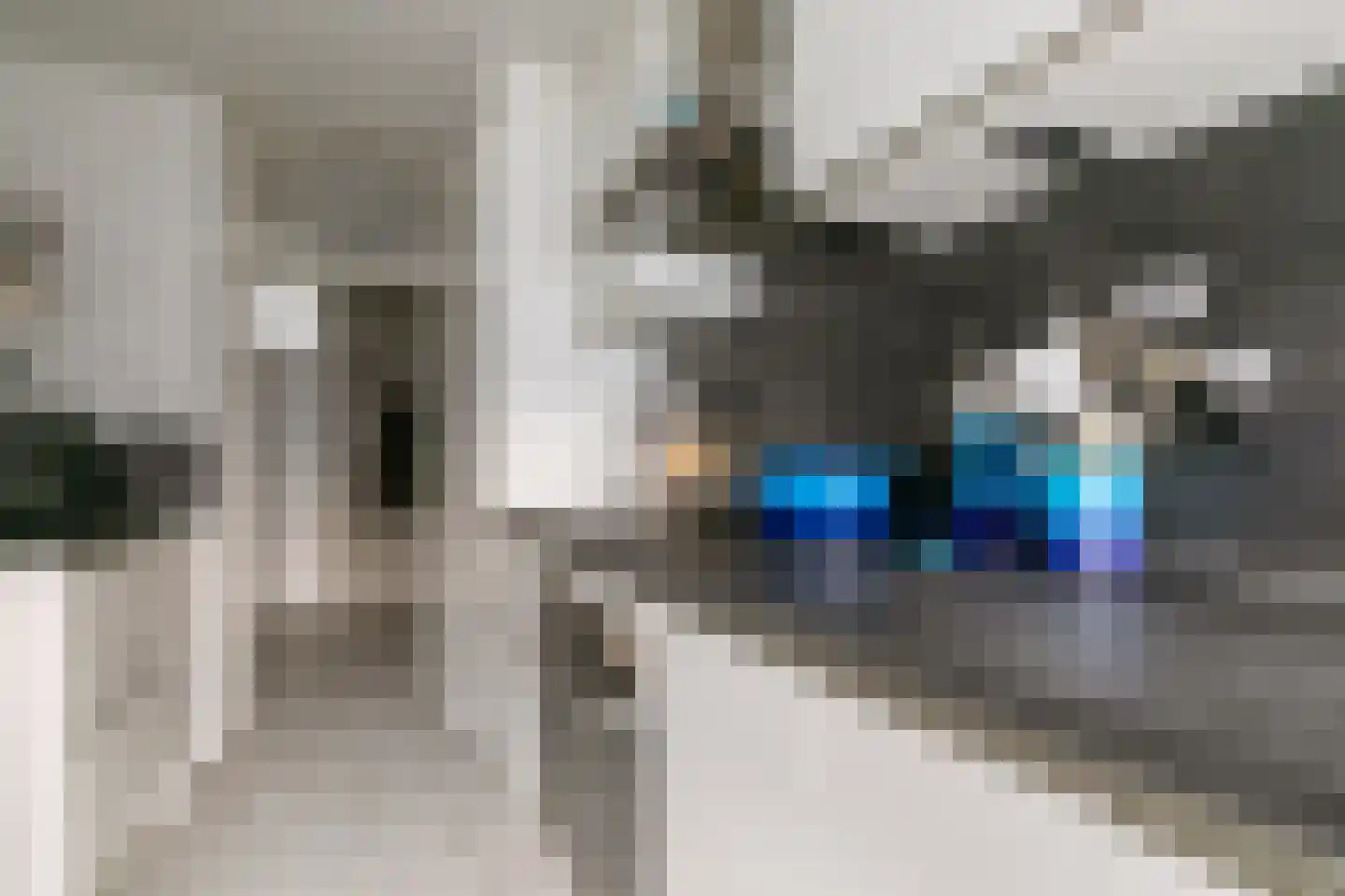 Predikherenlaan 259 Tilburg thumbnail 28