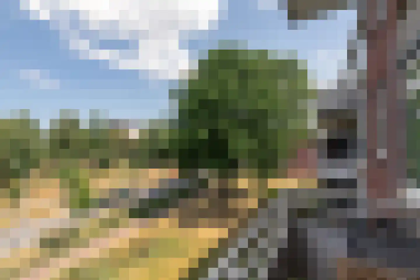 Predikherenlaan 259 Tilburg thumbnail 29