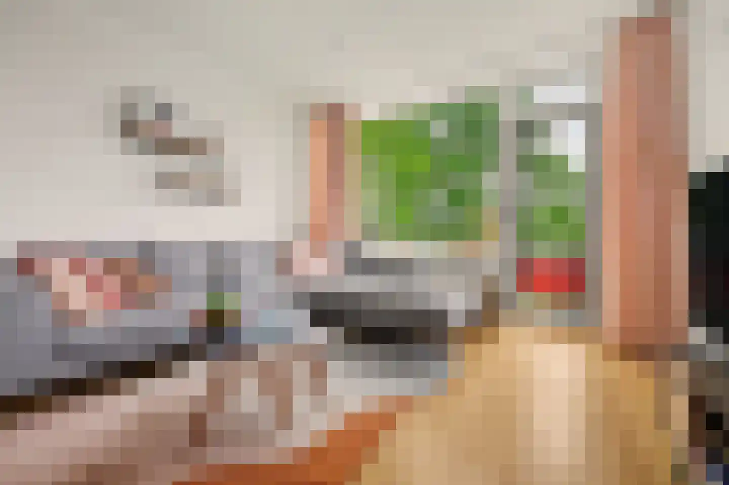 Predikherenlaan 269 Tilburg thumbnail 13
