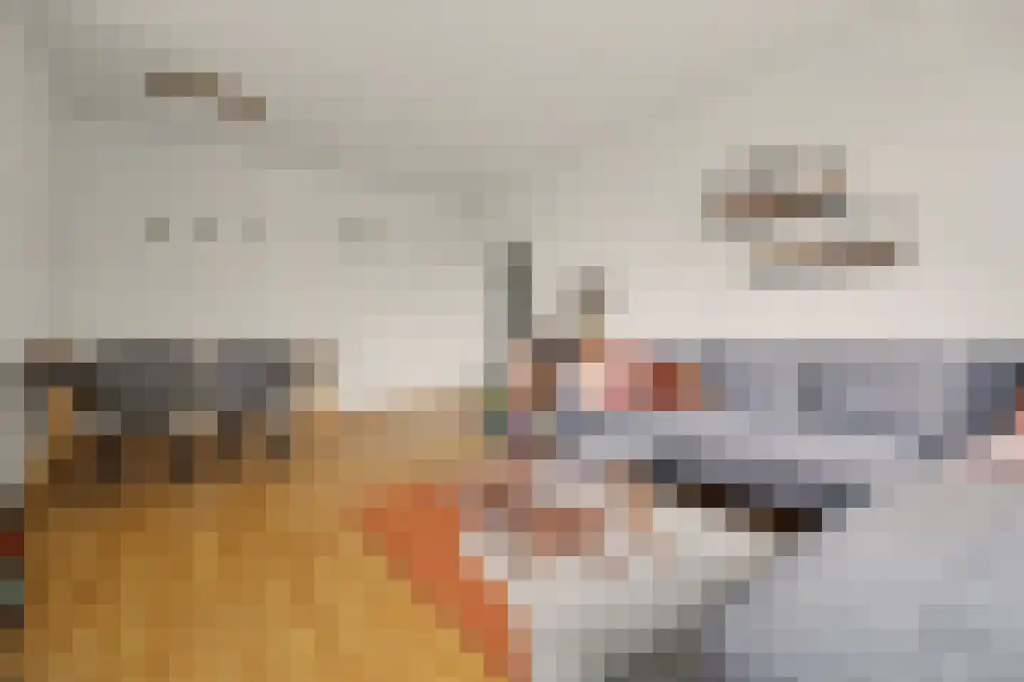 Predikherenlaan 269 Tilburg thumbnail 14