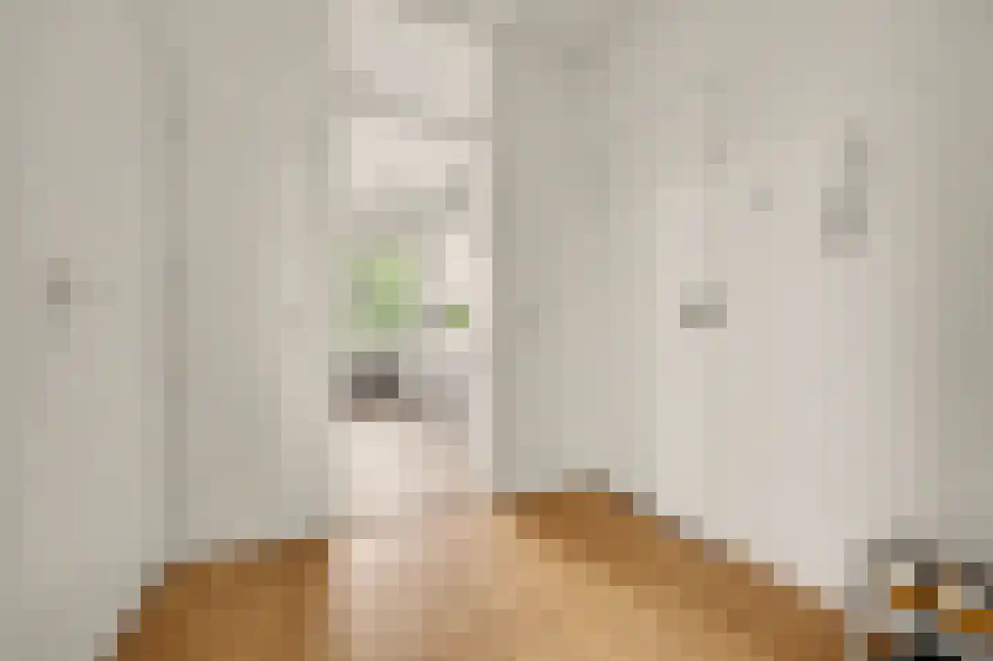 Predikherenlaan 269 Tilburg thumbnail 16